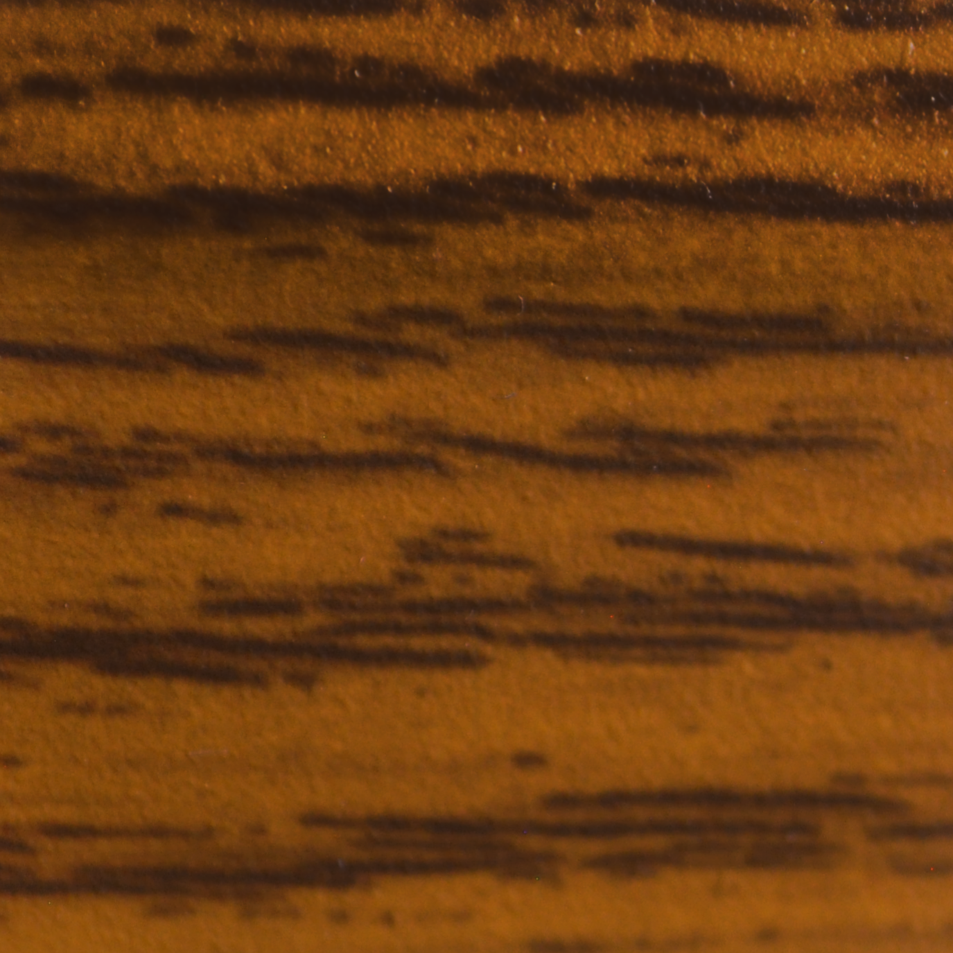 Image of gunstock