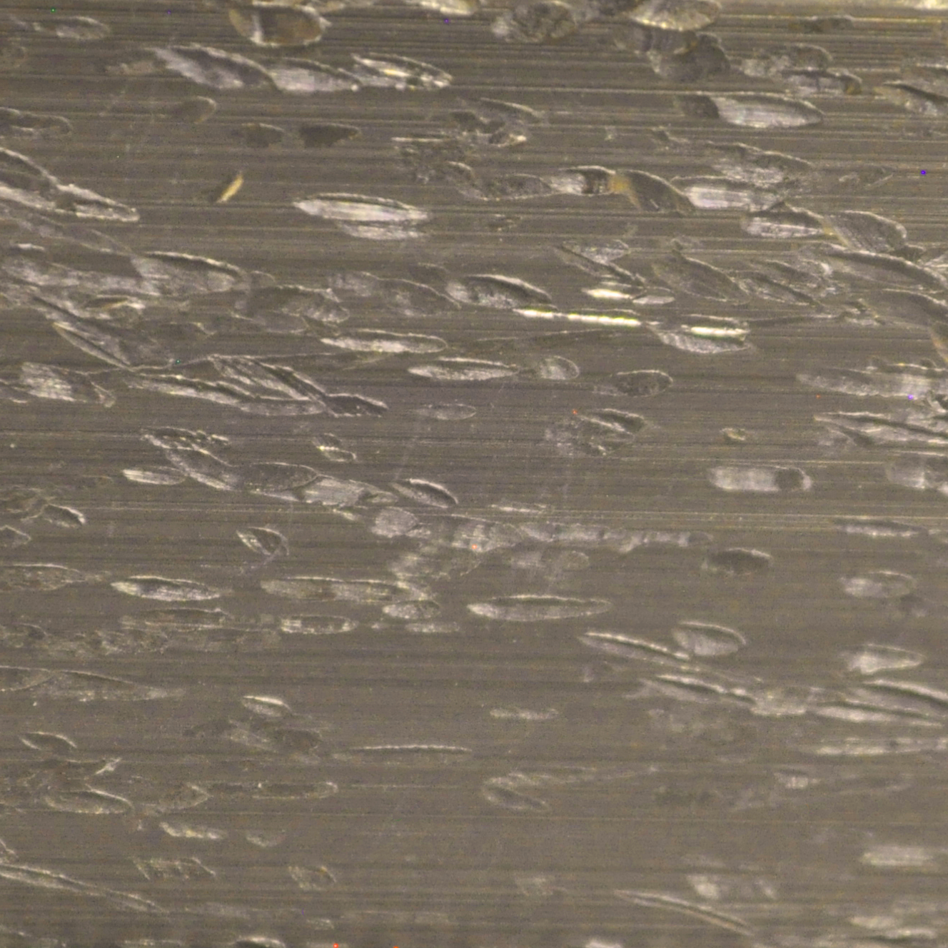 Image of HN Hammered Nickel